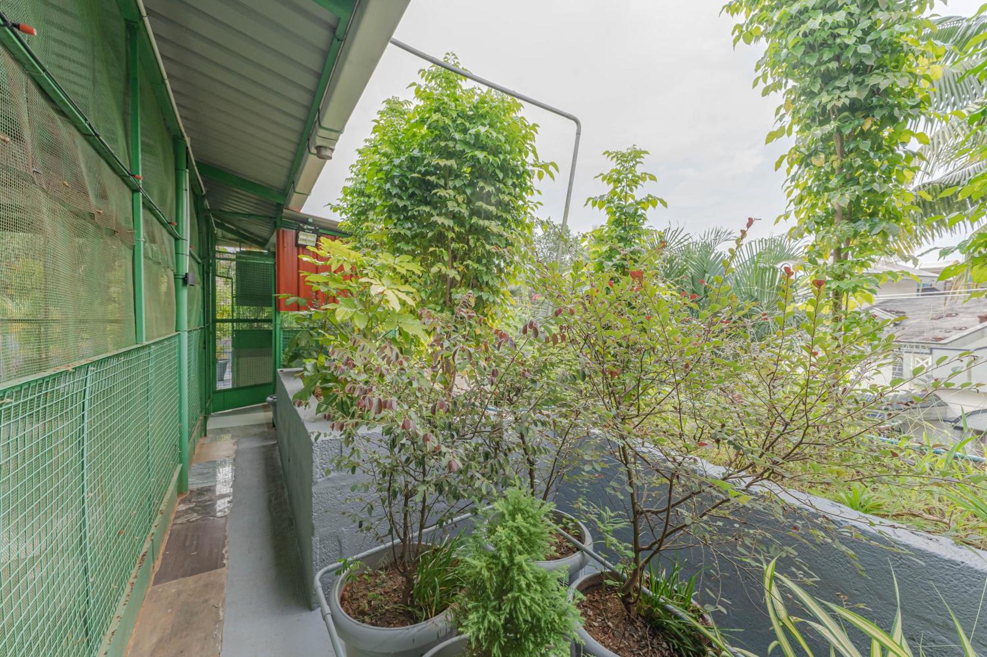 Udupi Homestay Garden Villa Eksteriør billede